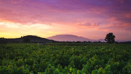 Zakynthos Highlights erwandern