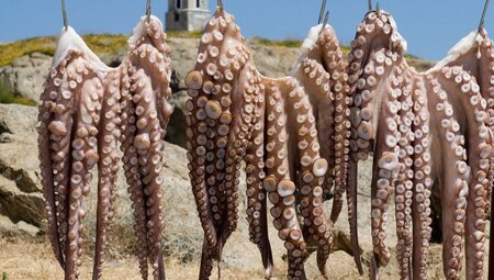 Zakynthos Highlights erwandern
