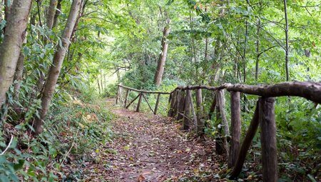Ischias Highlights erwandern