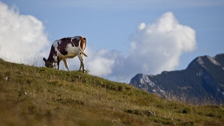 Alpenüberquerung vom Tegernsee nach Sterzing