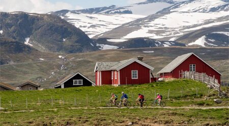 Mit dem Rad auf dem Mjølkevegen bei Jotunheimen