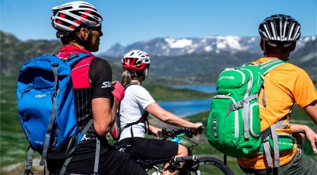Mit dem Rad auf dem Mjølkevegen bei Jotunheimen