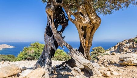 Die Highlights von Kos & der Vulkaninsel Nisyros erwandern