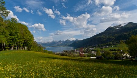 Wolfgangsee Ausblick