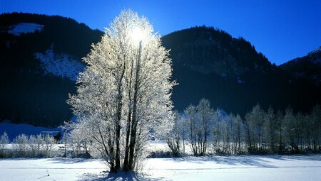 Silvester am Mieminger Plateau
