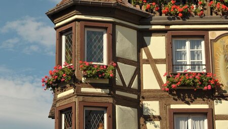 Frankreich - Unterwegs im Elsass