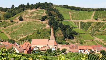 Frankreich - Unterwegs im Elsass