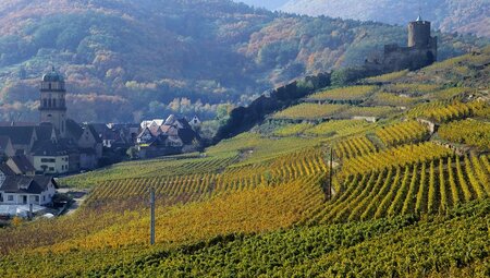 Frankreich - Unterwegs im Elsass