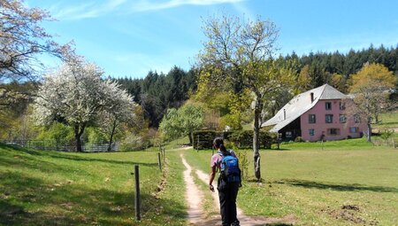 Frankreich - Unterwegs im Elsass