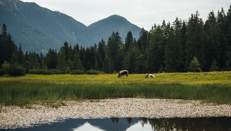 Alpenüberquerung von Garmisch nach Sterzing