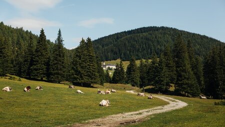 Alpenüberquerung von Garmisch nach Sterzing