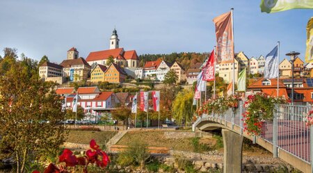 Der Neckar-Radweg