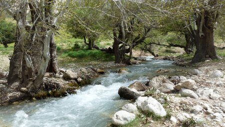 Iran - Zauber des Orients
