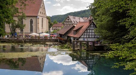 Donauradweg - Das Tal der jungen Donau