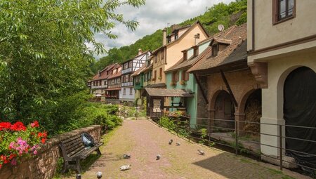 Das Elsass kulinarisch entdecken - Wandern zwischen Rhein und Vogesen