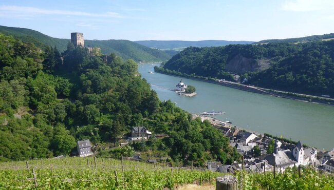 Rheinsteig: Rüdesheim - St. Goarshausen