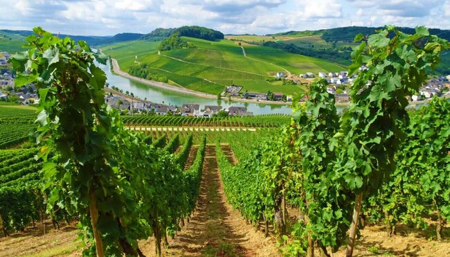 Mosel- & Eifelsteig - Von Perl nach Trier in 7 Tagen