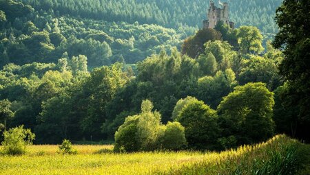 Mosel- & Eifelsteig Perl - Trier