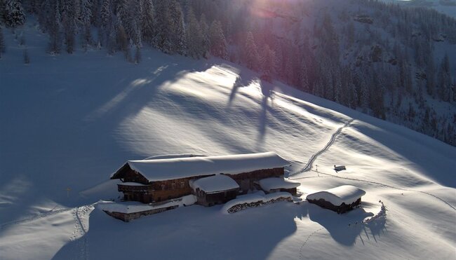 Schneeschuhwandern am Achensee zwischen Rofan und Karwendel