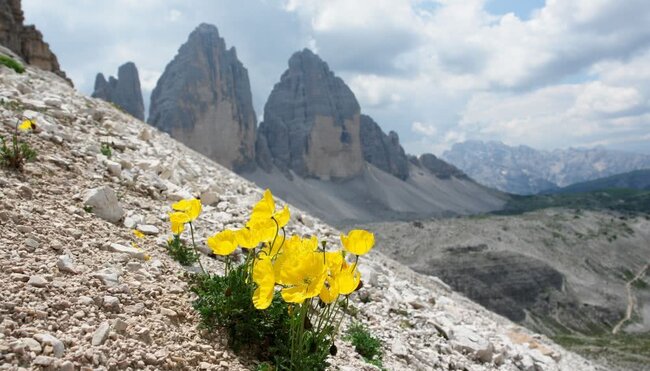 Südtirol - Sextener Dolomiten