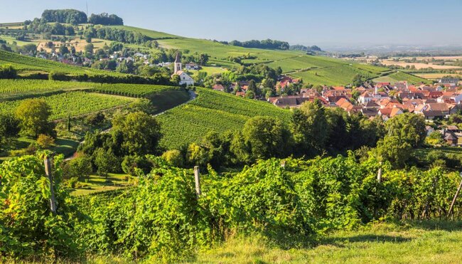 Die leichte Südschwarzwald-Runde