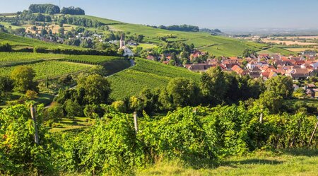 Rhein Radweg - Der romantische Hochrhein