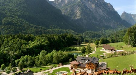 Almwandern im Salzkammergut