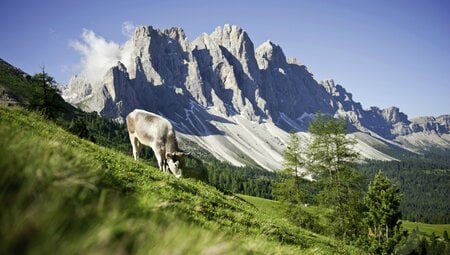 Südtiroler Dolomitental Villnöss