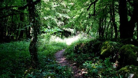 Den Olymptrail erwandern