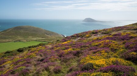 Jersey gemütlich erwandern