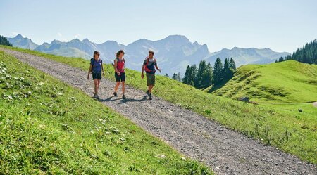 Österreich - auf dem Käseweg durch den Bregenzerwald (Samstag)