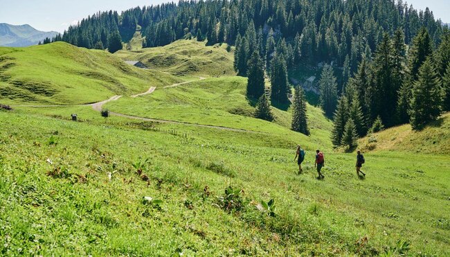 Österreich - auf dem Käseweg durch den Bregenzerwald (Samstag)