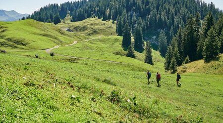 Österreich - auf dem Käseweg durch den Bregenzerwald (Samstag)