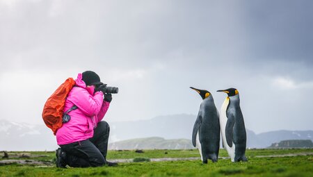 Falklandinseln