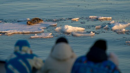 Arctic Ocean Expedition - von der Haustür bis ins Packeis