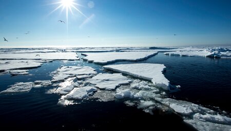 Arctic Ocean Expedition - von der Haustür bis ins Packeis