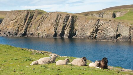 Fair Isle