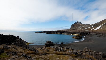 Arctic Ocean Expedition: Aberdeen - Fair Isle - Jan Mayen - Eiskante - Spitzbergen - Vogelkunde