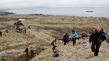 Arctic Ocean Expedition: Aberdeen - Fair Isle - Jan Mayen - Eiskante - Spitzbergen - Vogelkunde