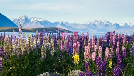 Neuseeland Südinsel