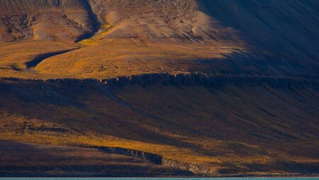 Spitzbergen Umrundung - Kvitøya, Im Reich von Eisbär & Eis
