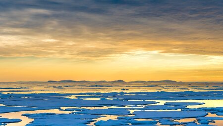 Spitzbergen Umrundung - Kvitøya, Im Reich von Eisbär & Eis