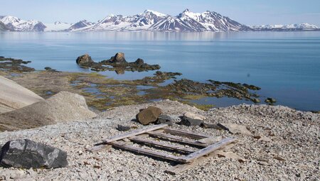 Nordspitzbergen - Auf der Suche nach Eisbären und Packeis