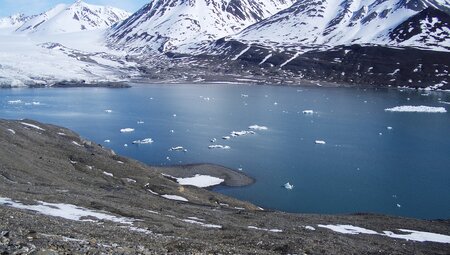 Nordspitzbergen - Auf der Suche nach Eisbären und Packeis
