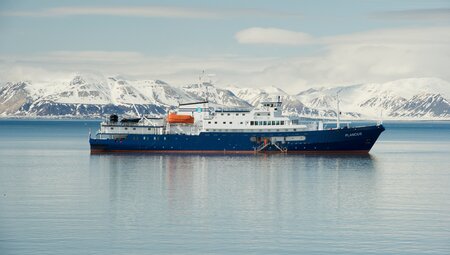 Nordspitzbergen - Auf der Suche nach Eisbären und Packeis
