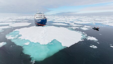 Nordspitzbergen - Auf der Suche nach Eisbären und Packeis