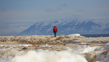 Nordspitzbergen - Auf der Suche nach Eisbären und Packeis