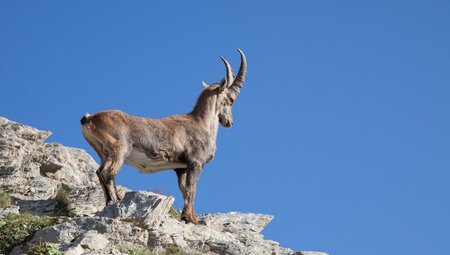 Alpenüberquerung - am E5 von Oberstdorf nach Meran