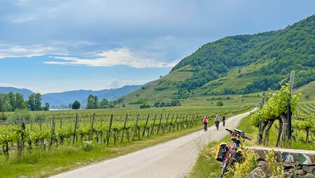 Radfahrer auf einem Weg bei Wachau