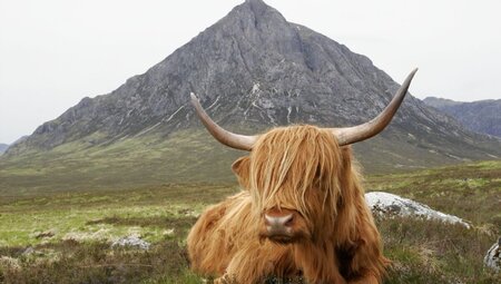 Komforttrekking auf dem West Highland Way